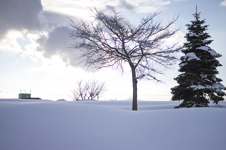 雪景色の写真